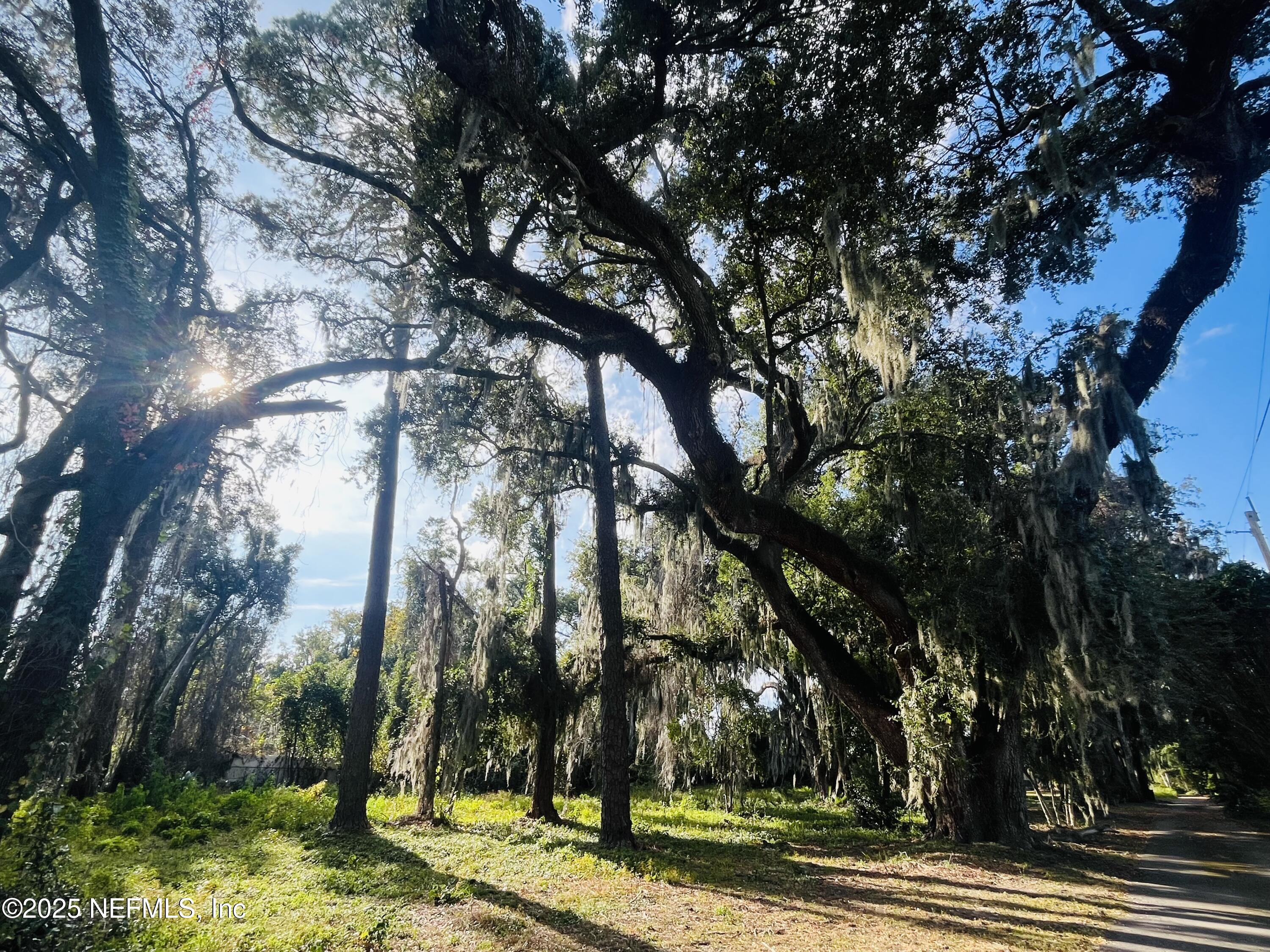 0 HICKORY BLUFF LANE