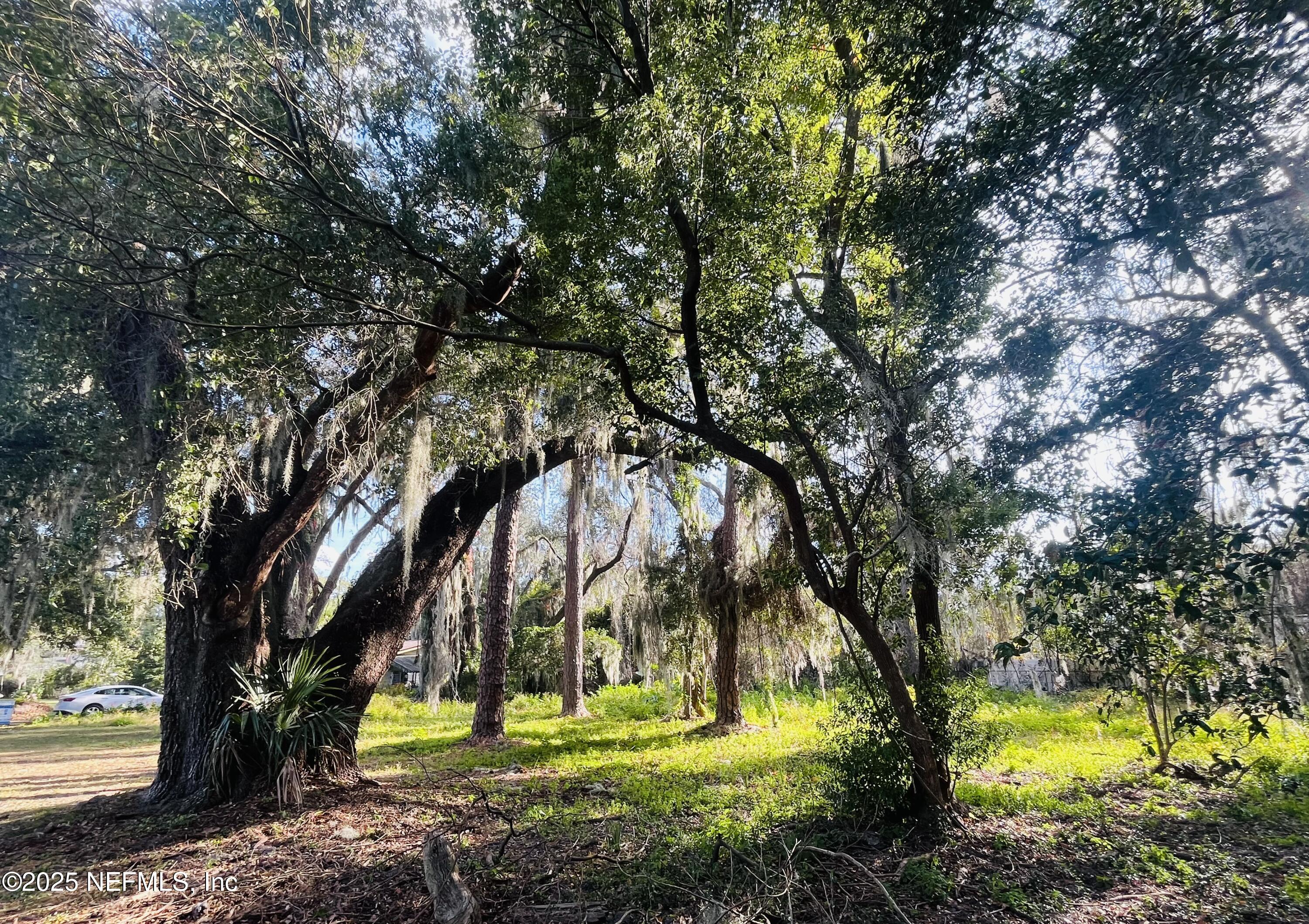 0 HICKORY BLUFF LANE