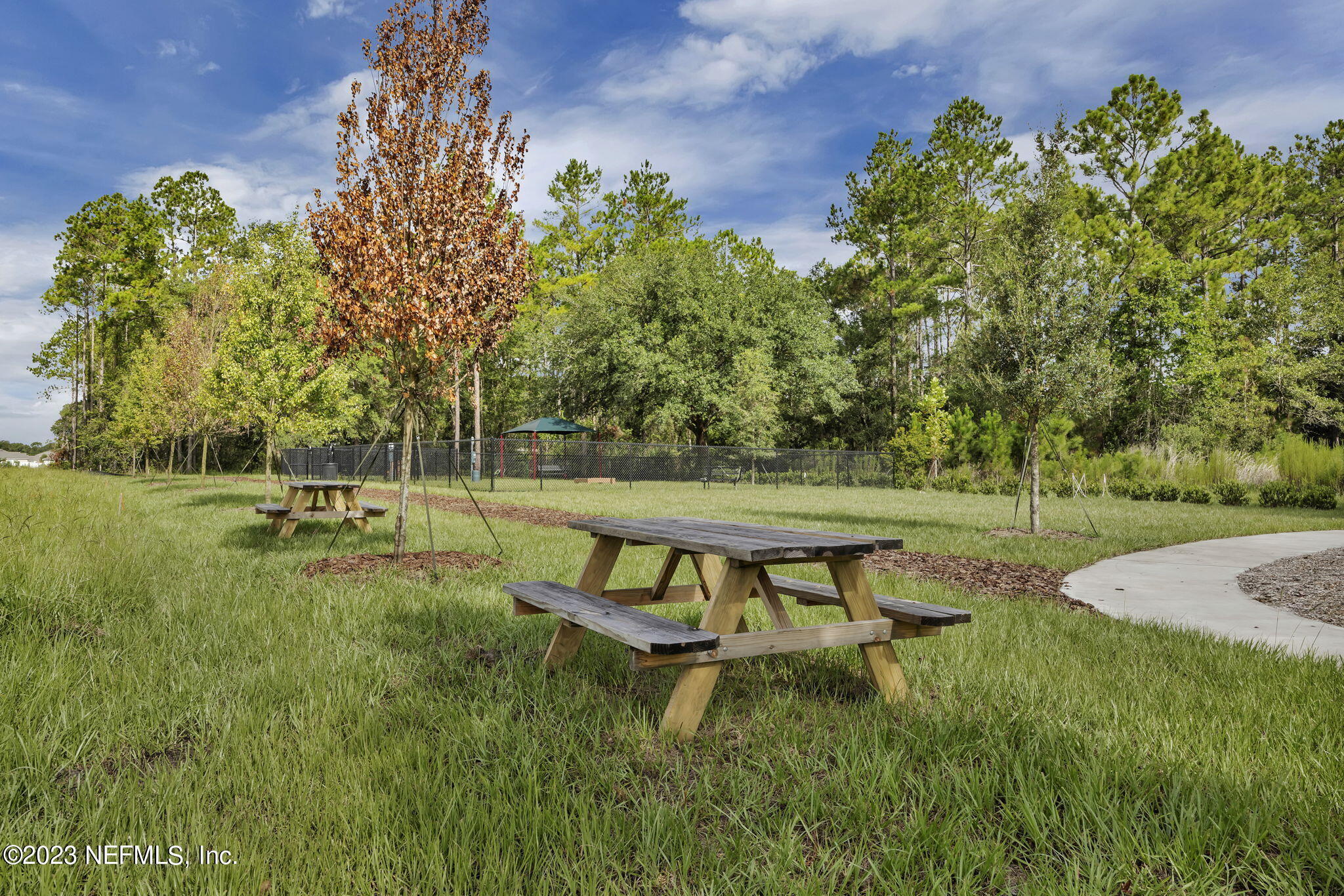 1009 ROOSTER HOLLOW Way