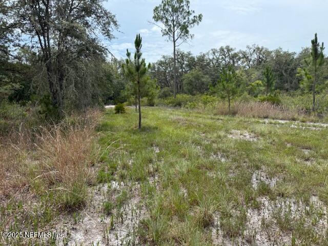 XXX S FRANCIS Street