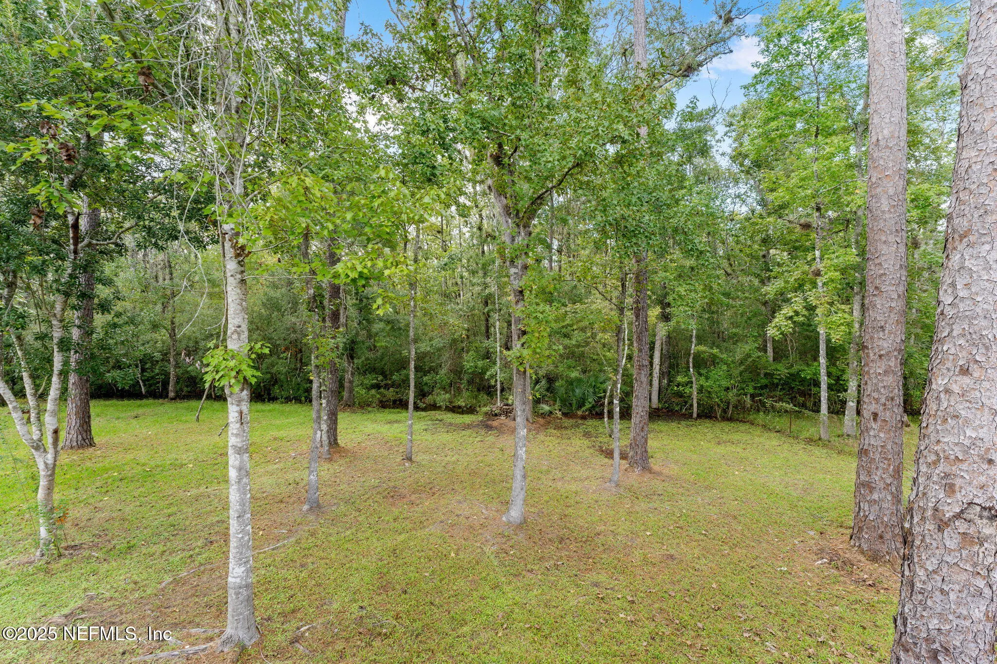 Middleburg, Florida 32068, United States, 3 Bedrooms Bedrooms, ,2 BathroomsBathrooms,Residential,Active,213247