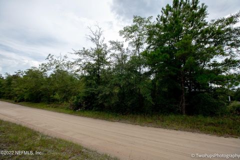 Unimproved Land in Middleburg FL 0 OSCEOLA Trail 6.jpg