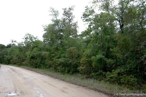 Unimproved Land in Middleburg FL 0 OSCEOLA Trail 7.jpg