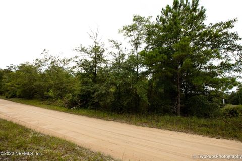 Unimproved Land in Middleburg FL 0 OSCEOLA Trail 5.jpg