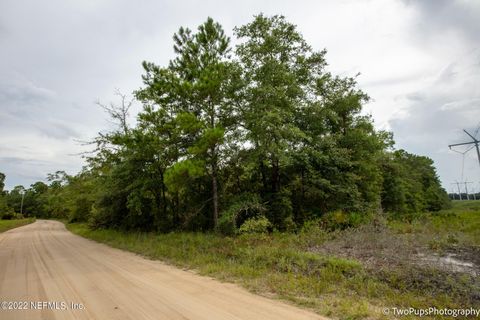 Unimproved Land in Middleburg FL 0 OSCEOLA Trail.jpg