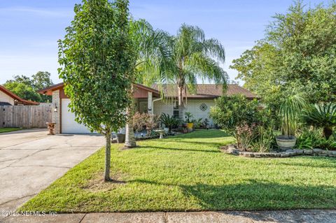 1741 PAPAYA Drive N Orange Park FL 32073