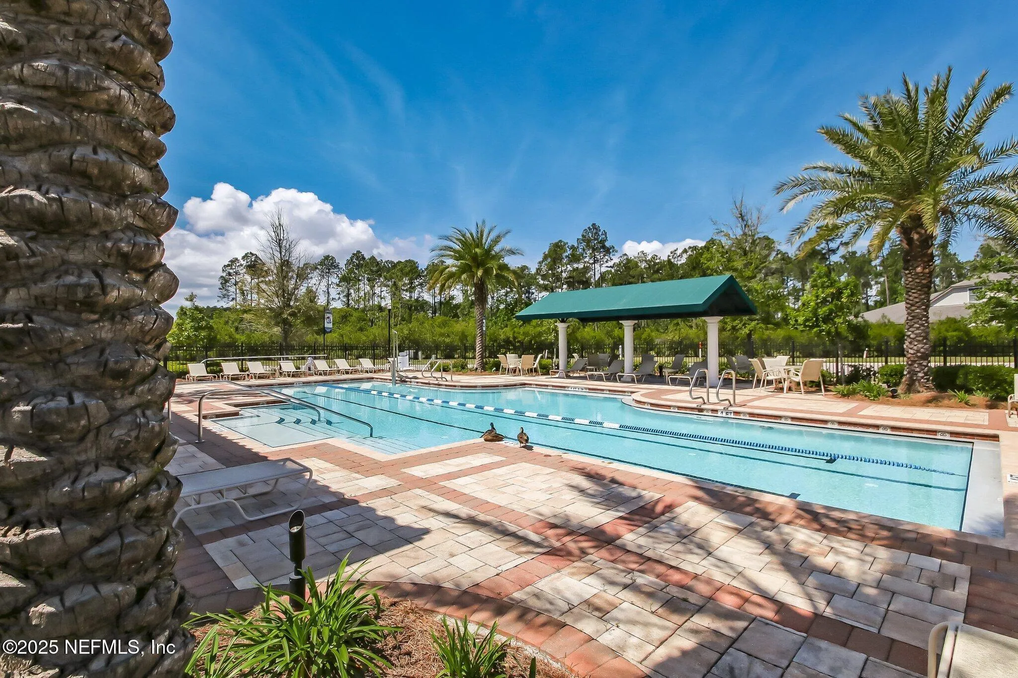 Jacksonville, Florida 32246, United States, 4 Bedrooms Bedrooms, ,4 BathroomsBathrooms,Residential,Active,111322