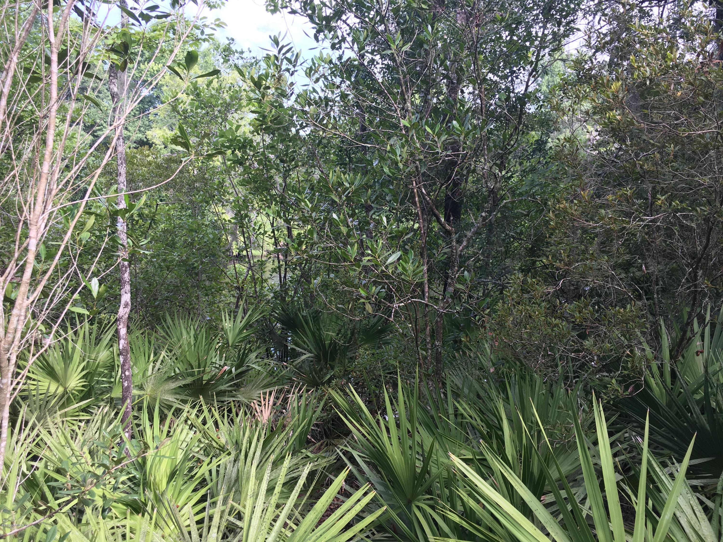 00 BLACK CREEK TRACT