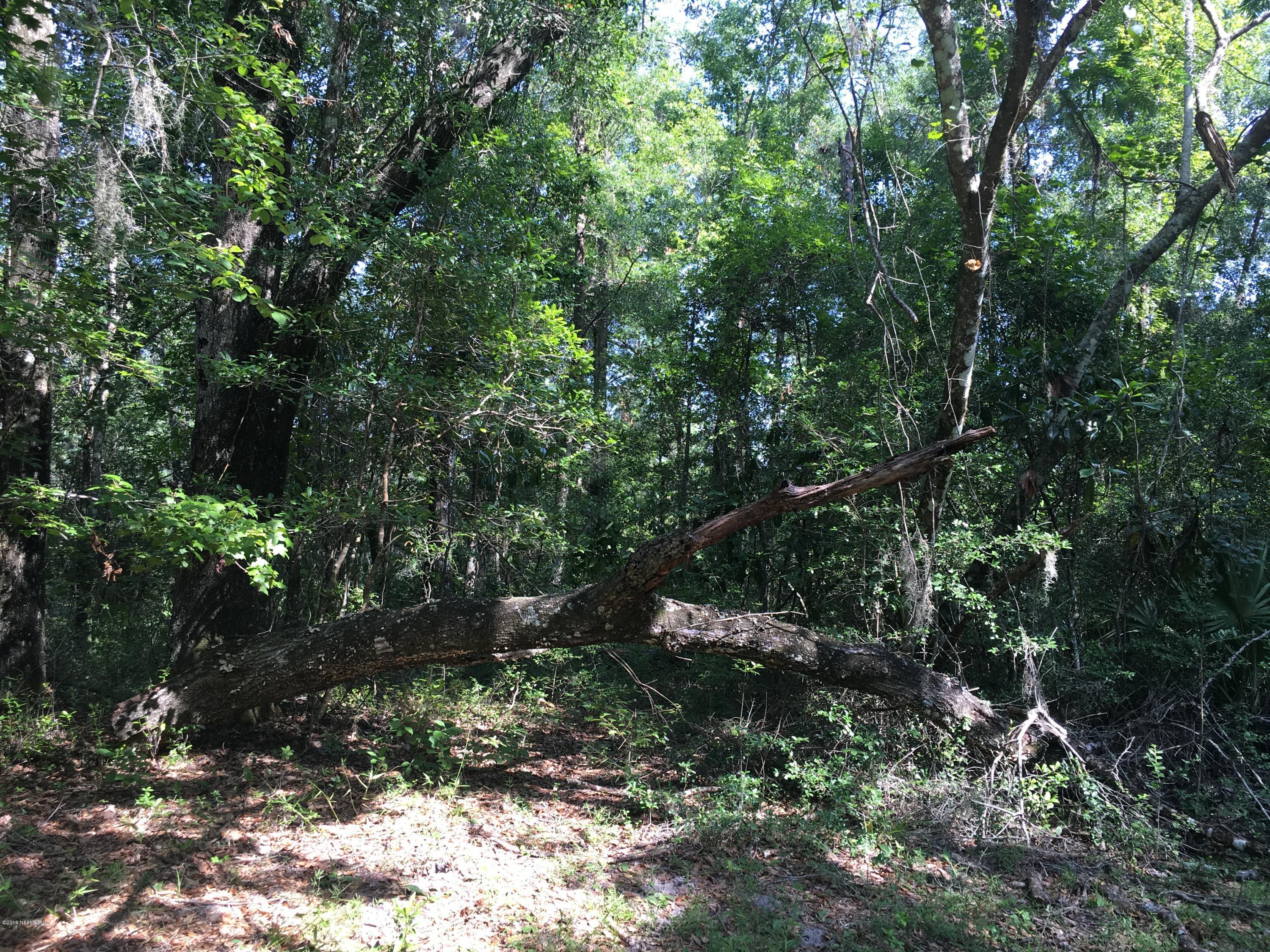 00 BLACK CREEK TRACT