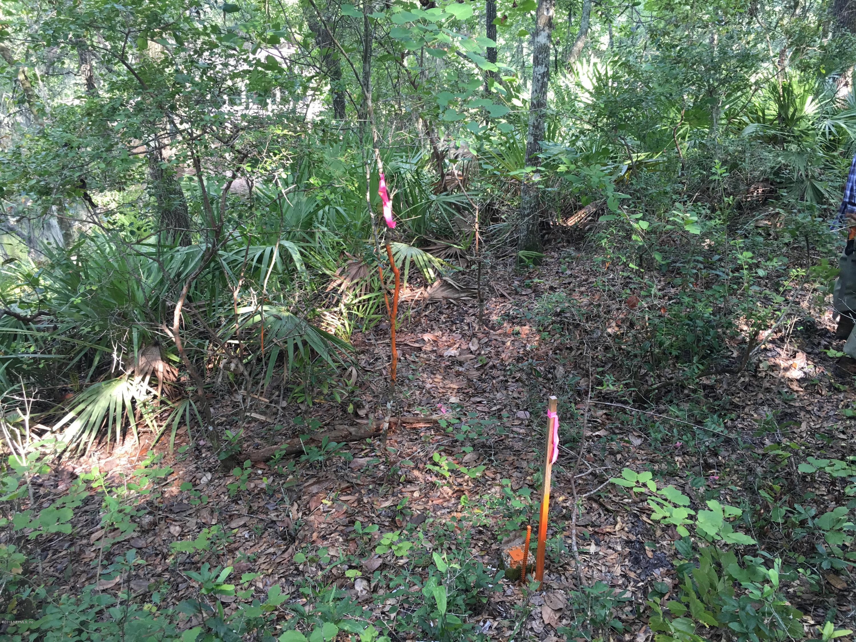 00 BLACK CREEK TRACT