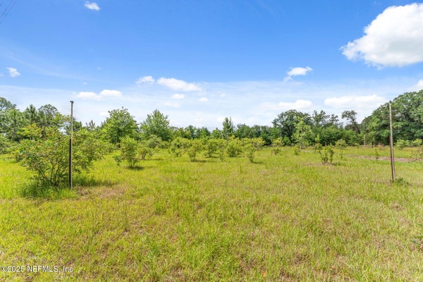 2995 THUNDER RD, MIDDLEBURG, FL 32068 - Image d6745db4c13d33c5998f3af868c876ee/2243946006