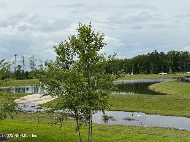239 BRAZIL NUT Circle