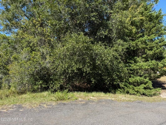 2310 BUCKWHEAT CT, MIDDLEBURG, FL 32068 - Image d8f63547ea1bdb777bb0a385341b3a5f/3447549663