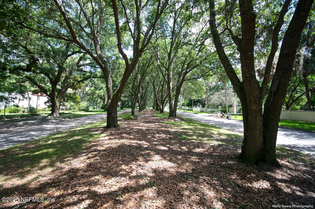 Jacksonville, Florida 32207, United States, 4 Bedrooms Bedrooms, ,3 BathroomsBathrooms,Residential,Active,221038