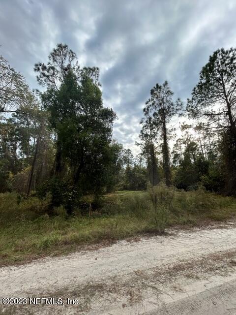 Georgetown, FL home for sale located at 414 WHISPERING PINES Road, Georgetown, FL 32139