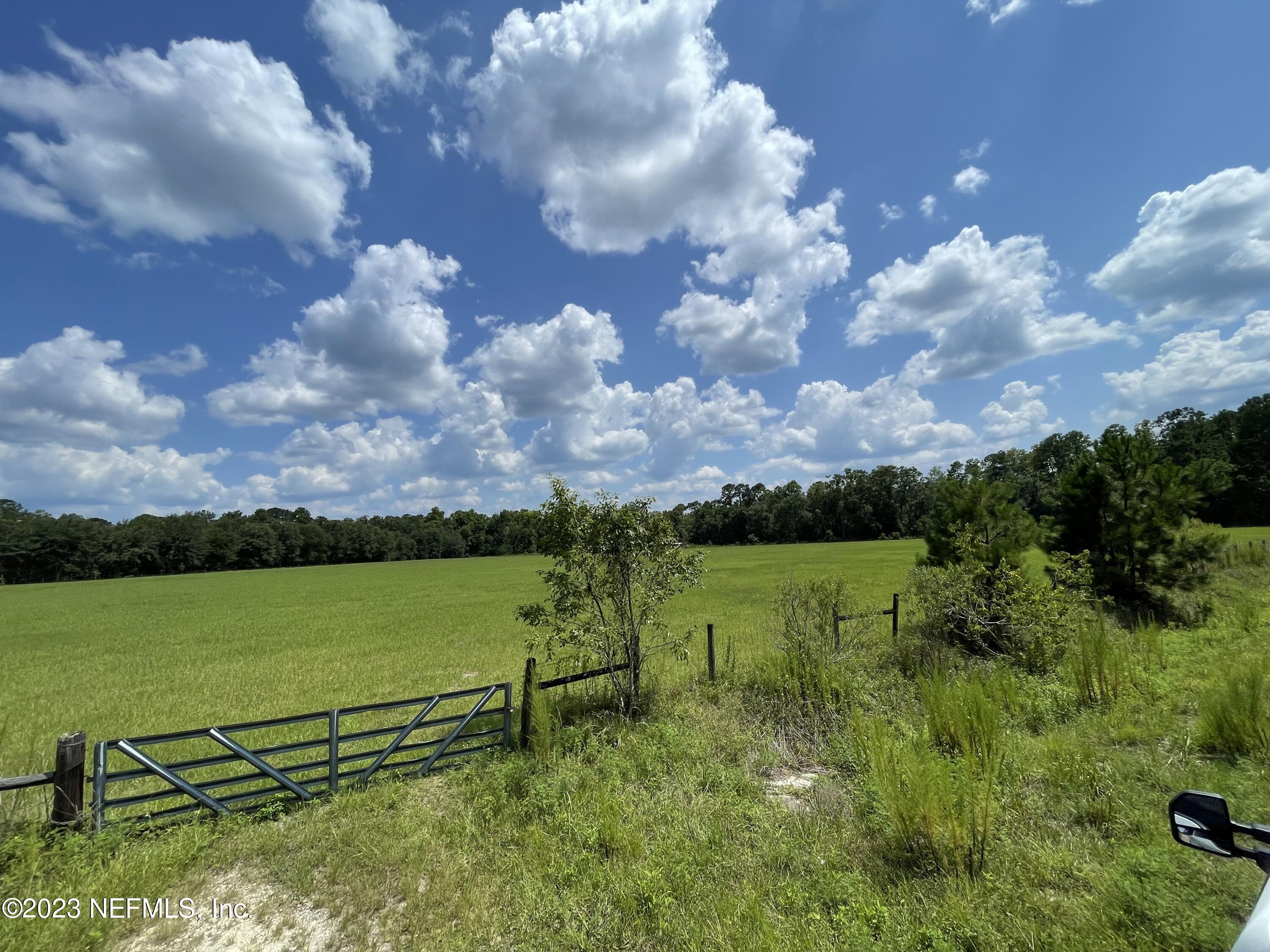 Middleburg, FL home for sale located at 0 DOWLING Road, Middleburg, FL 32068