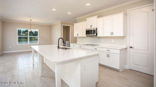 4005 PURPLE SAGE Court