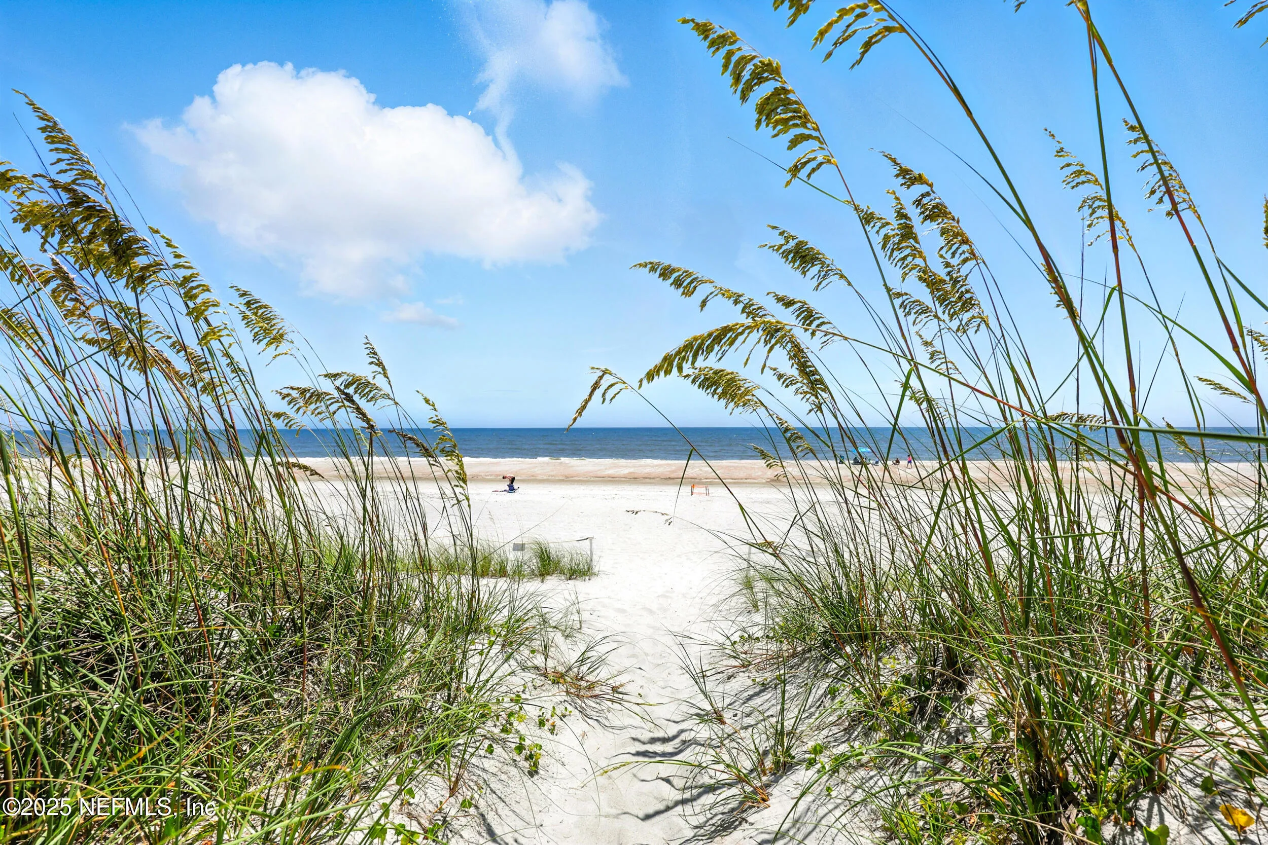 Jacksonville Beach, Florida 32250, United States, 4 Bedrooms Bedrooms, ,4 BathroomsBathrooms,Residential,Active,90609