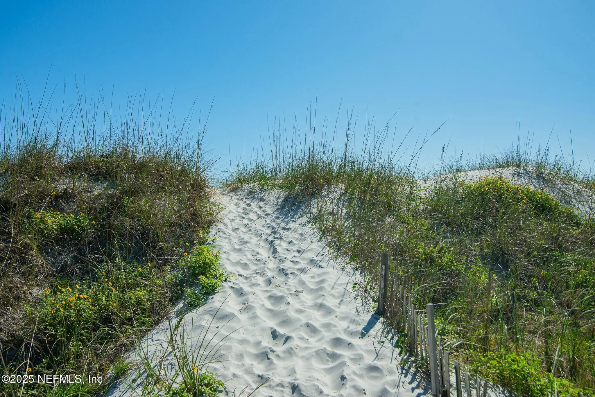 Jacksonville Beach, Florida 32250, United States, 4 Bedrooms Bedrooms, ,4 BathroomsBathrooms,Residential,Active,90609