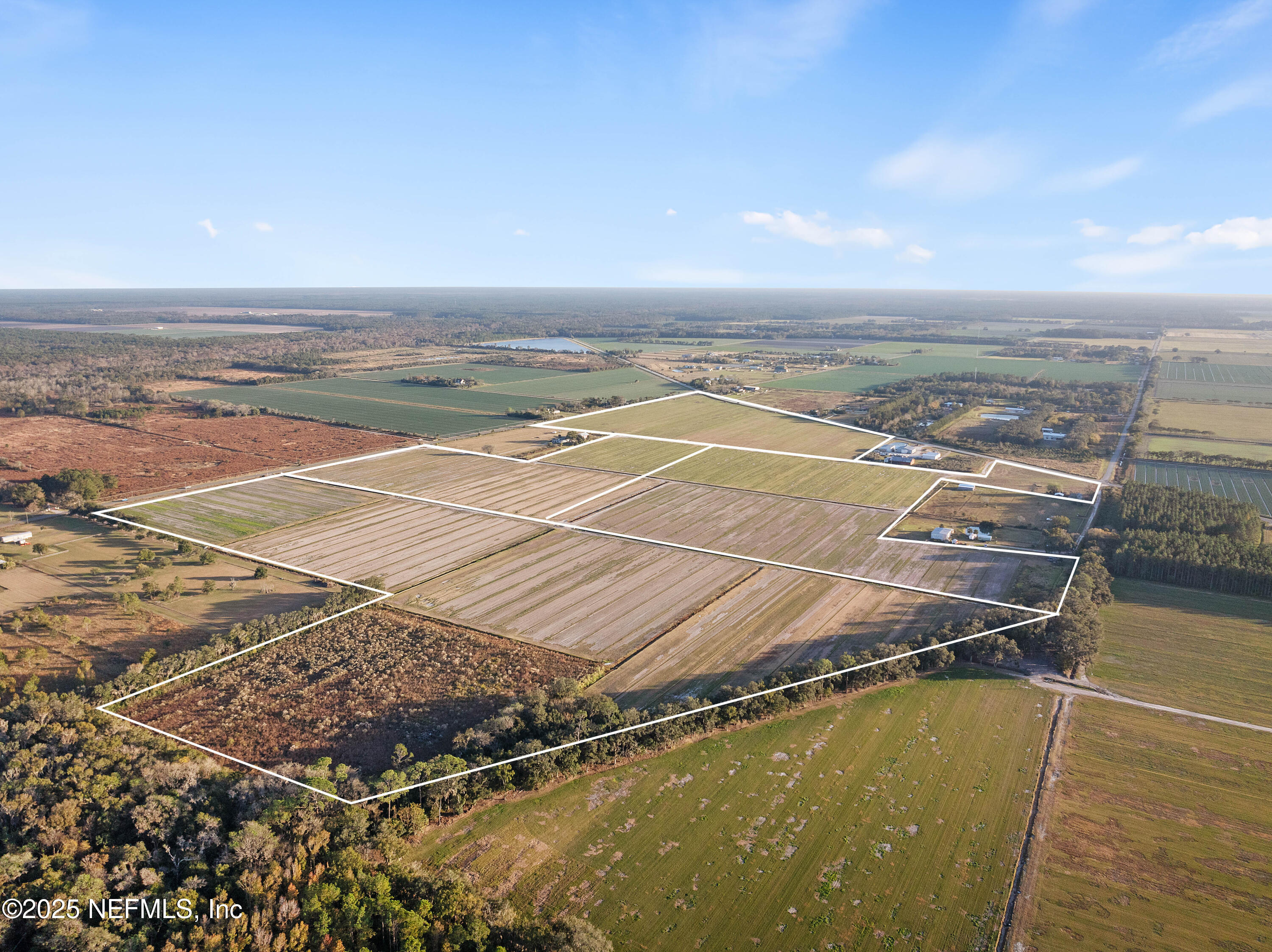 Hastings, FL, 32145, US, ,Land,Active,1681269