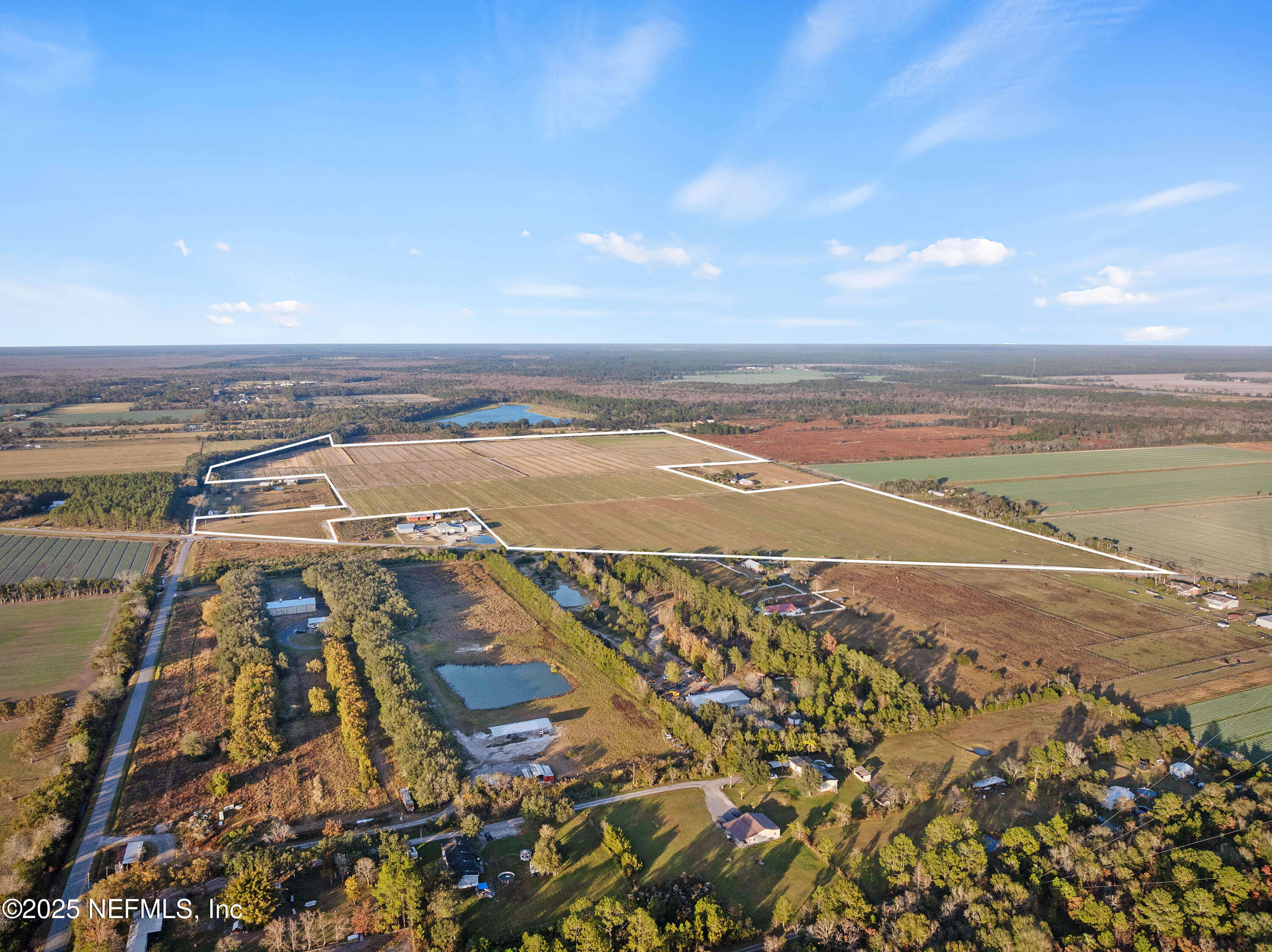 Hastings, FL, 32145, US, ,Land,Active,1681269