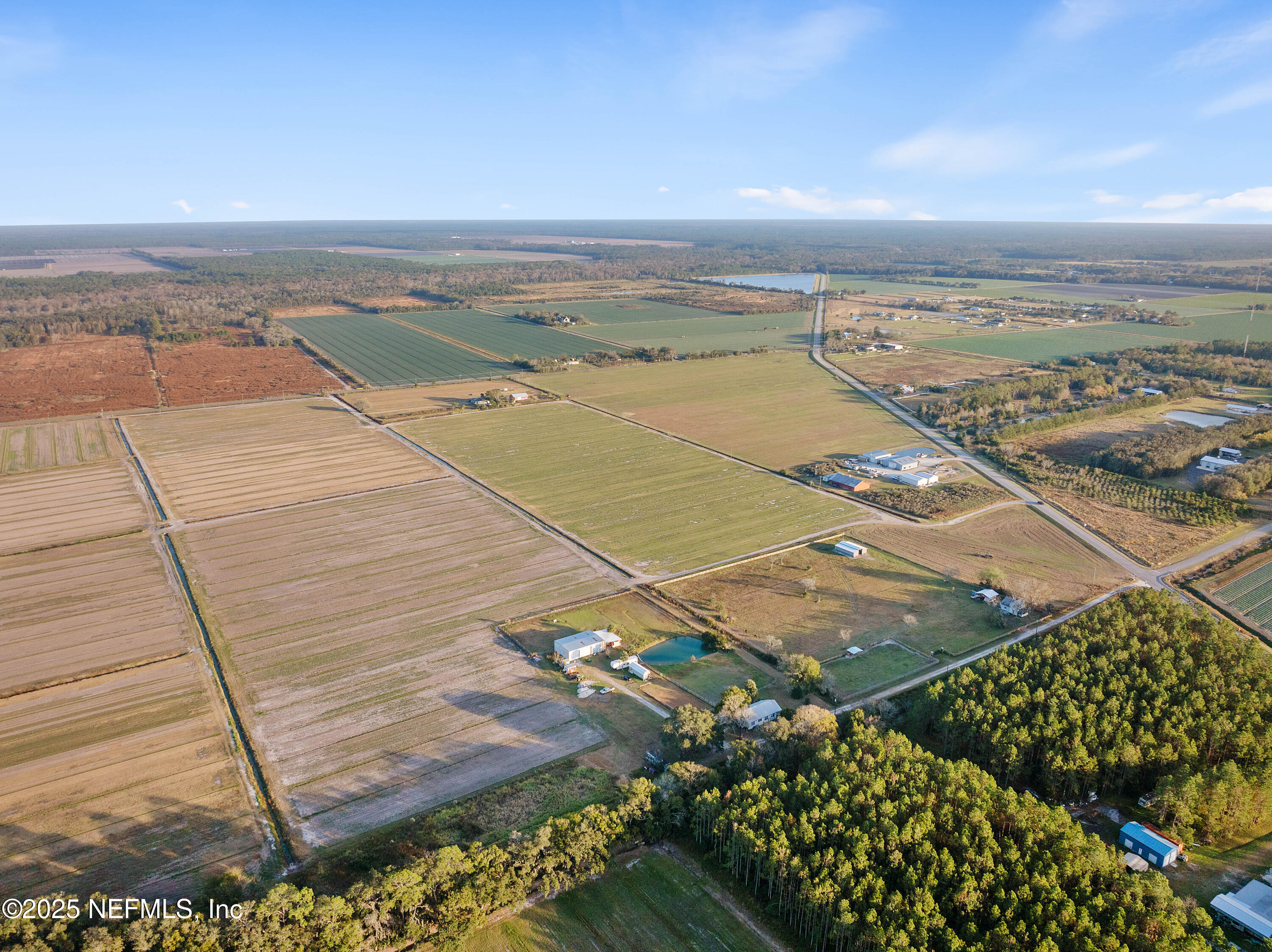 Hastings, FL, 32145, US, ,Land,Active,1681269