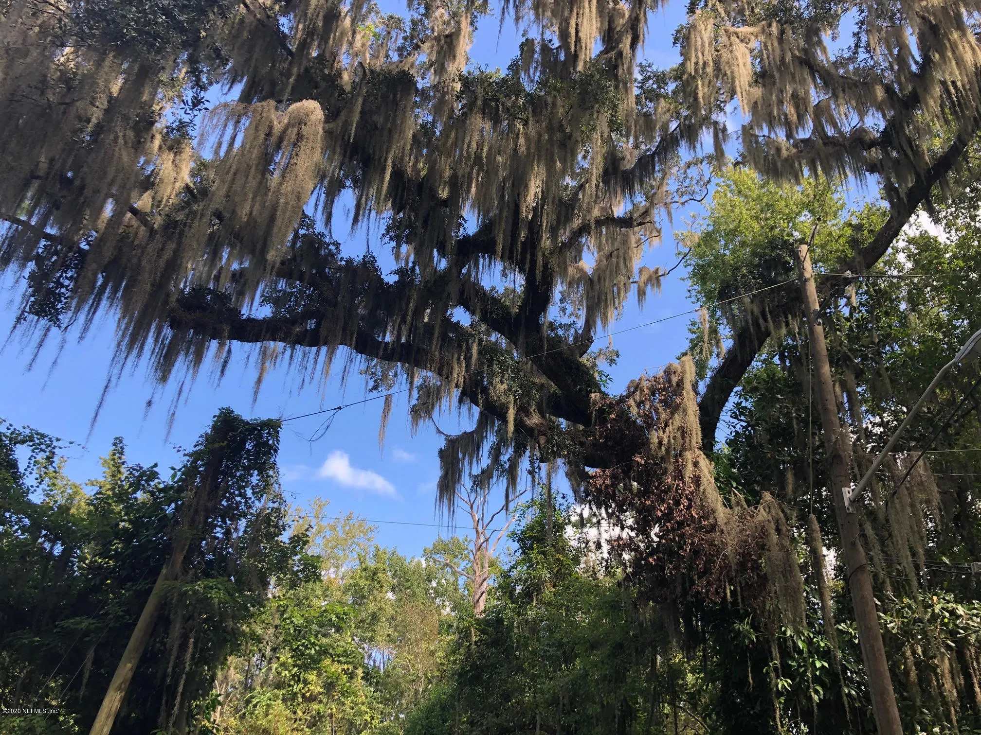 St Johns, Florida 32259, United States, ,Land,Pending,75440