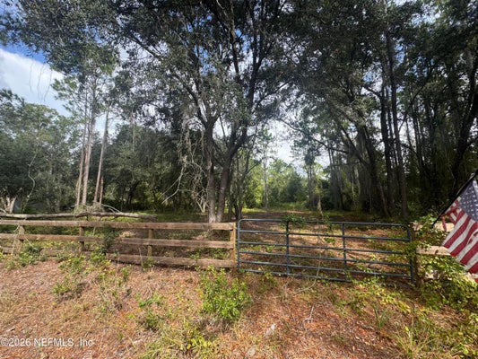 436 ROSEWOOD ST, GEORGETOWN, FL 32139 - Image e41c6baf77cfce542c7e4b4bd8e73f10/2708974947