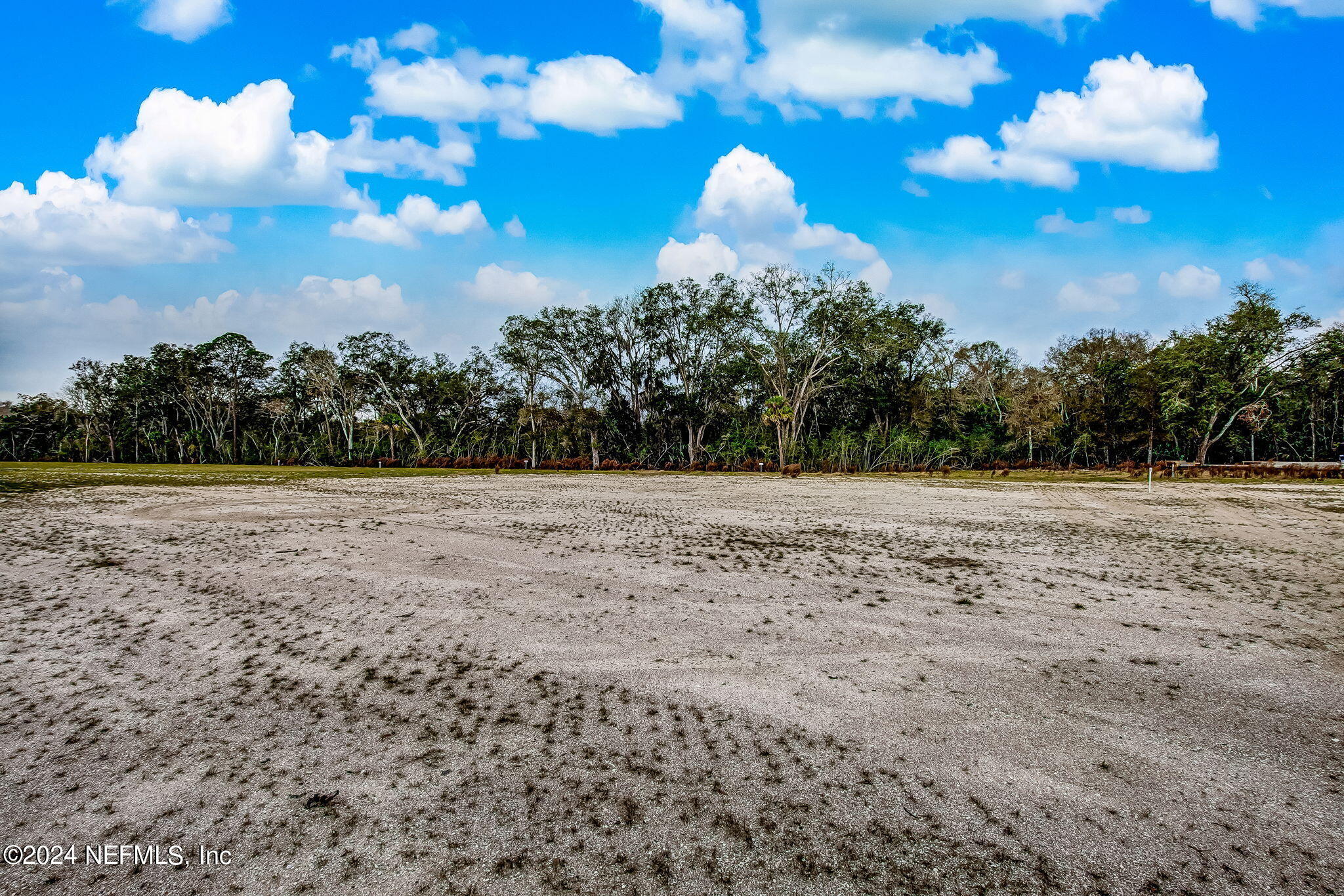 62 WHISTLING PALM Court