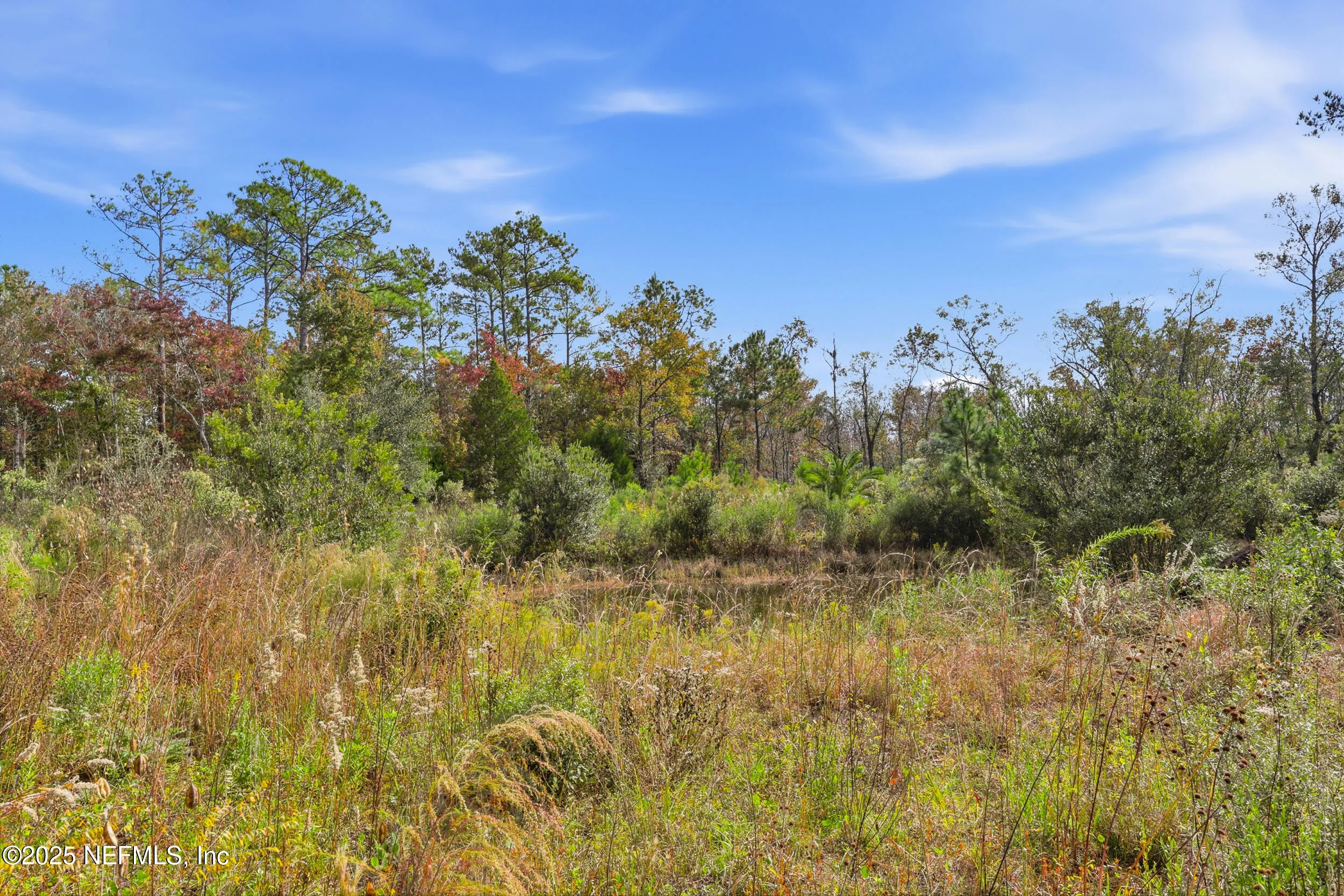 Middleburg, Florida 32068, United States, ,Land,Coming Soon,238260