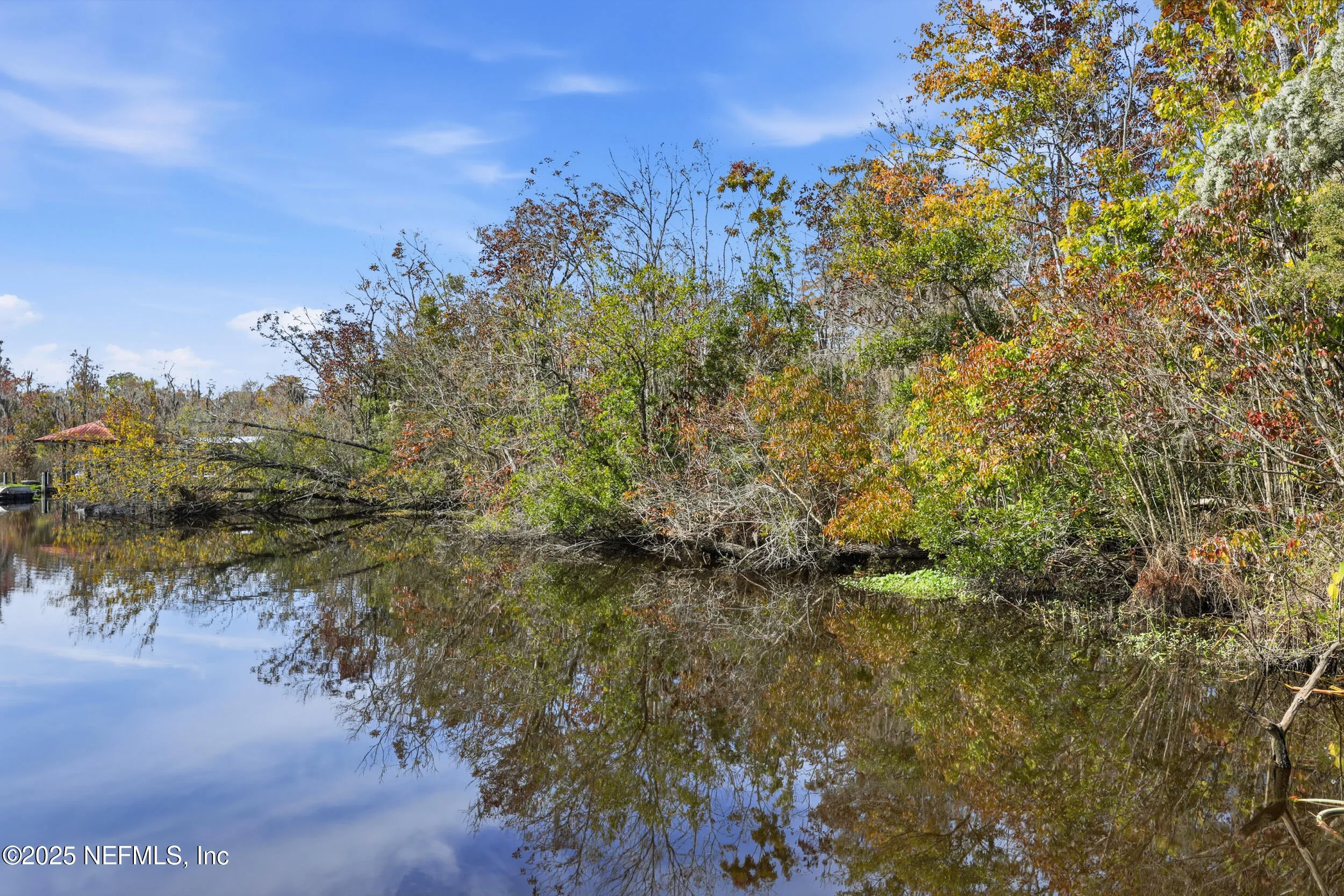 Middleburg, Florida 32068, United States, ,Land,Coming Soon,238260
