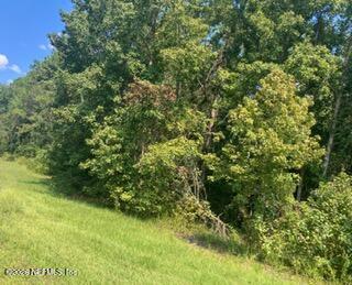 Photo of 0 217 County Road, Middleburg, FL 32234 (MLS # 2165846)