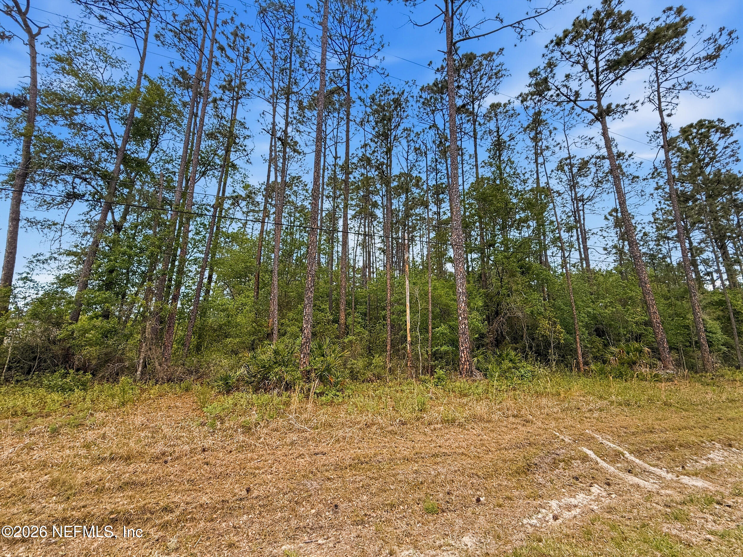 2168 HIBISCUS Avenue