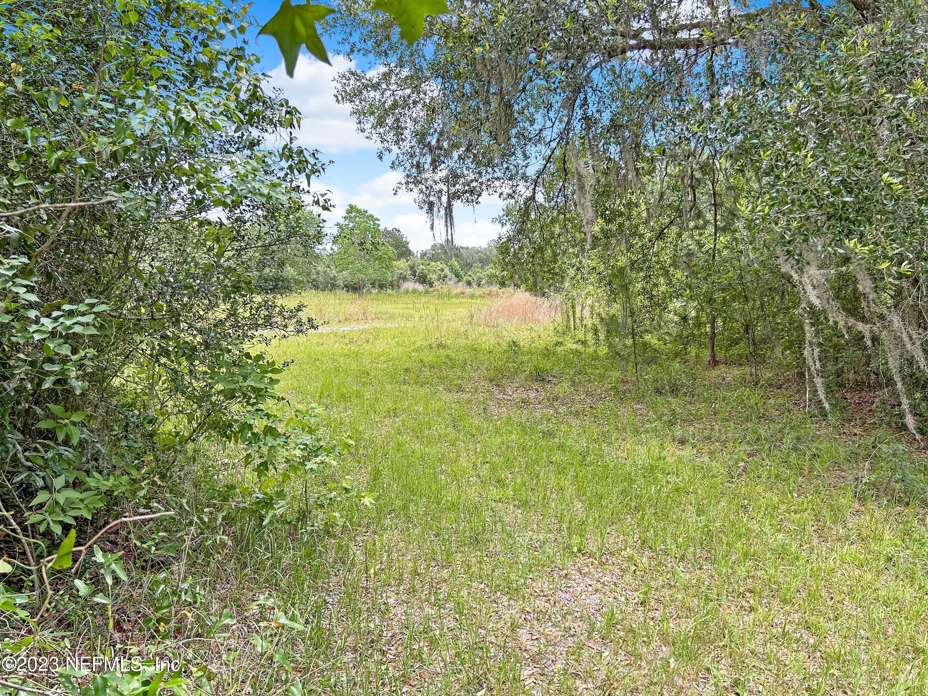 2819 BLACK CREEK Drive