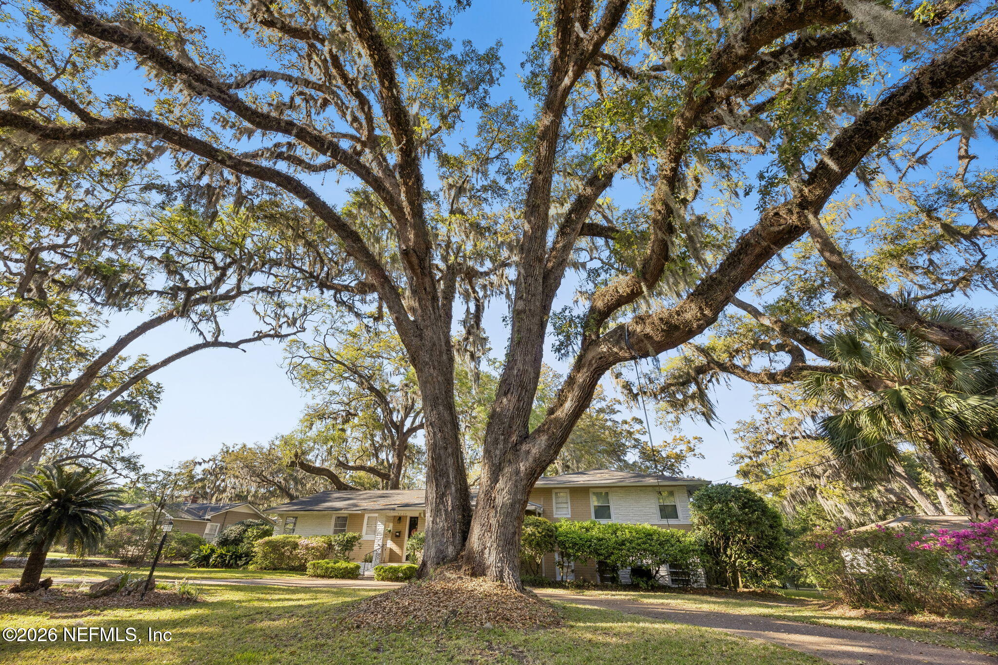 4226 FOREST PARK Road