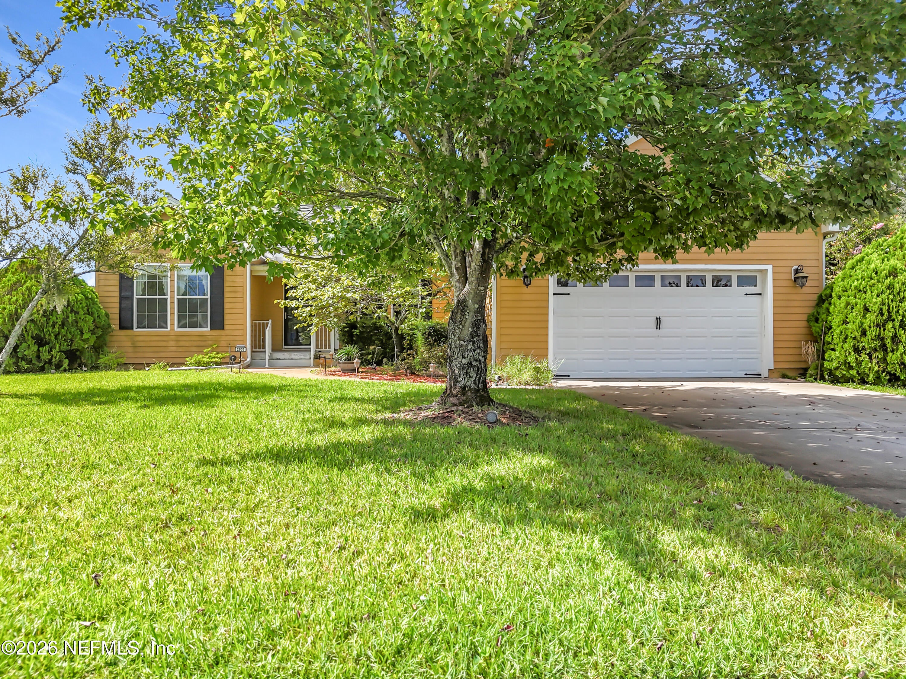 2905 GRAY JAY Drive