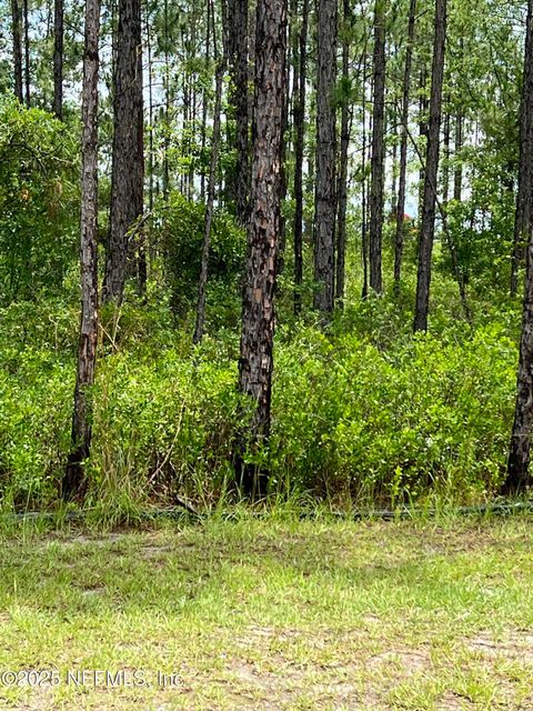 0 CANAVERAL Trace Middleburg FL 32068