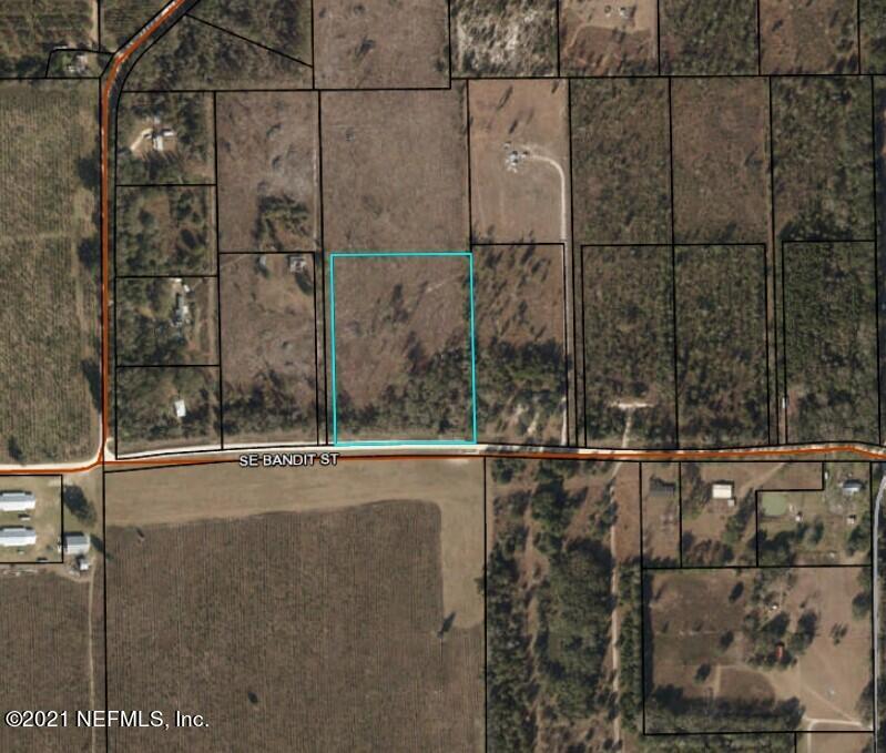 Madison, FL home for sale located at 0 SE BANDIT Street, Madison, FL 32340
