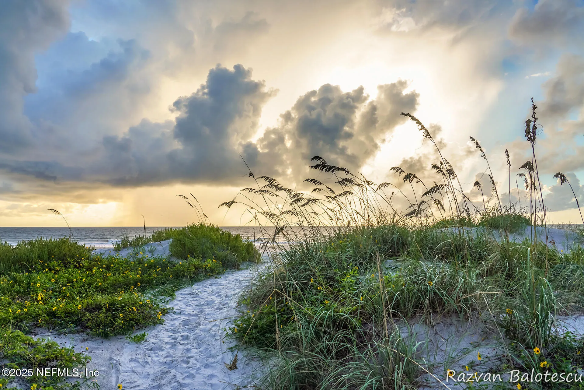 Ponte Vedra Beach, Florida 32082, United States, ,Land,Active,237312