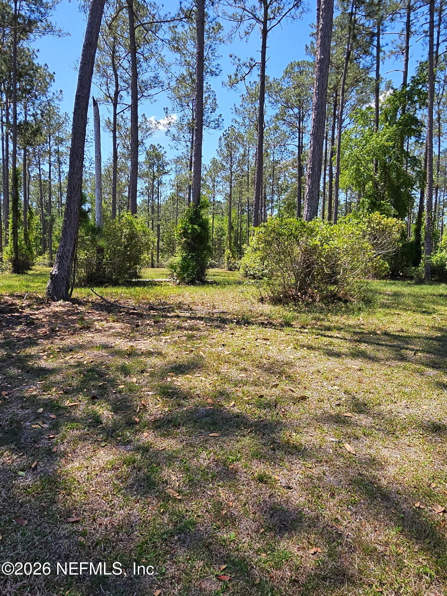 10136 KINGS CROSSING Drive