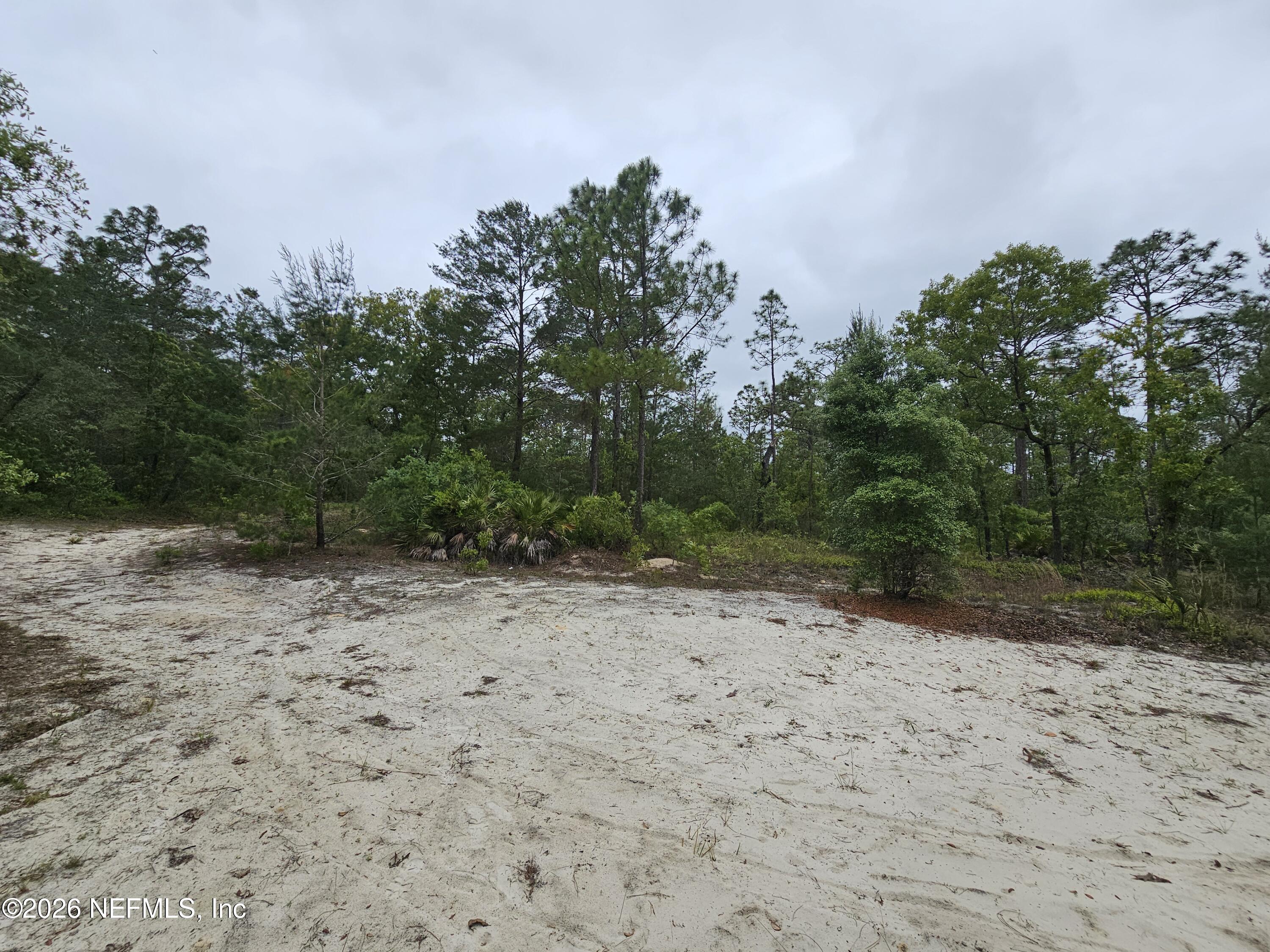 248 SADDLEBACK Trail