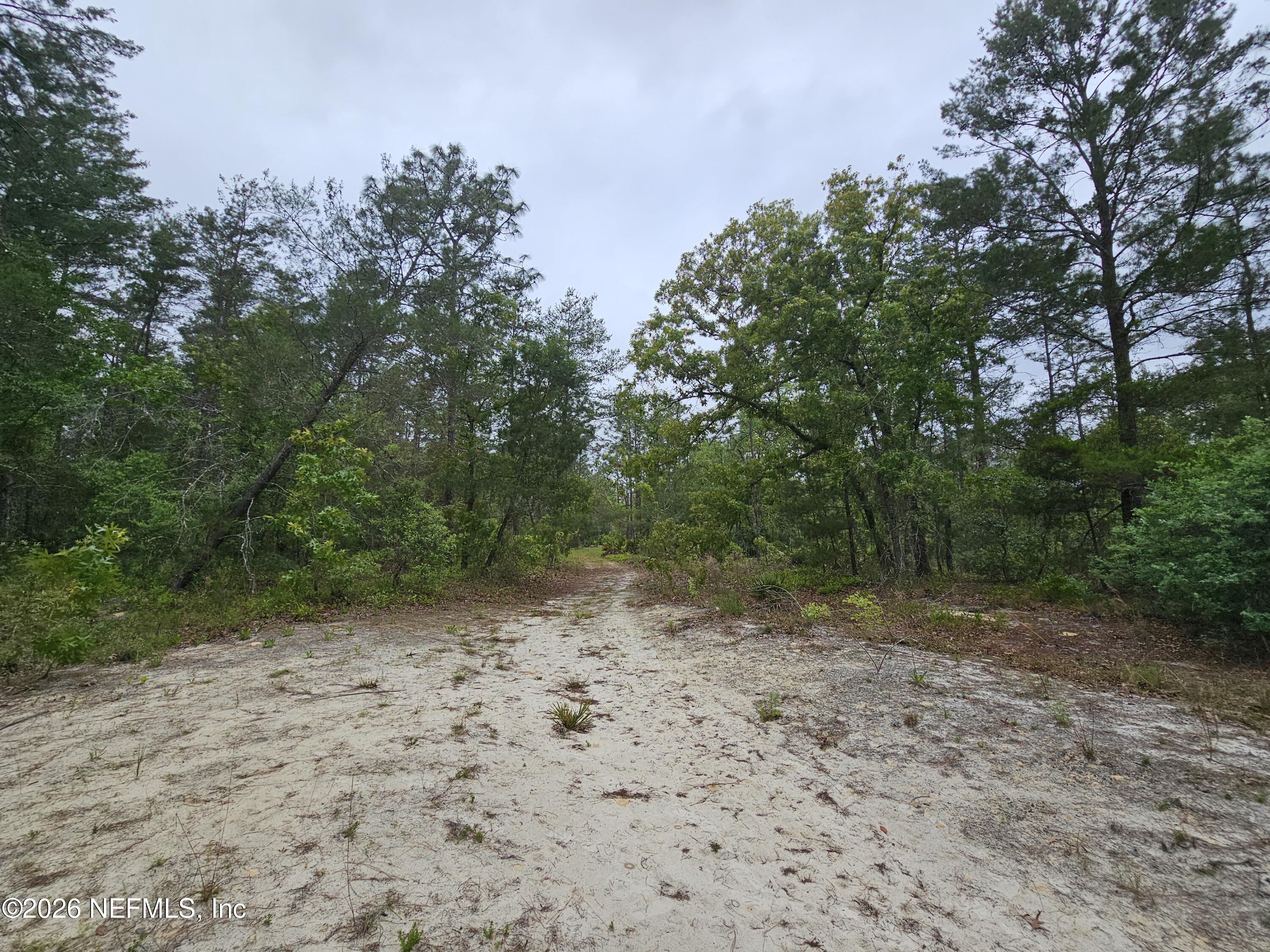 248 SADDLEBACK Trail