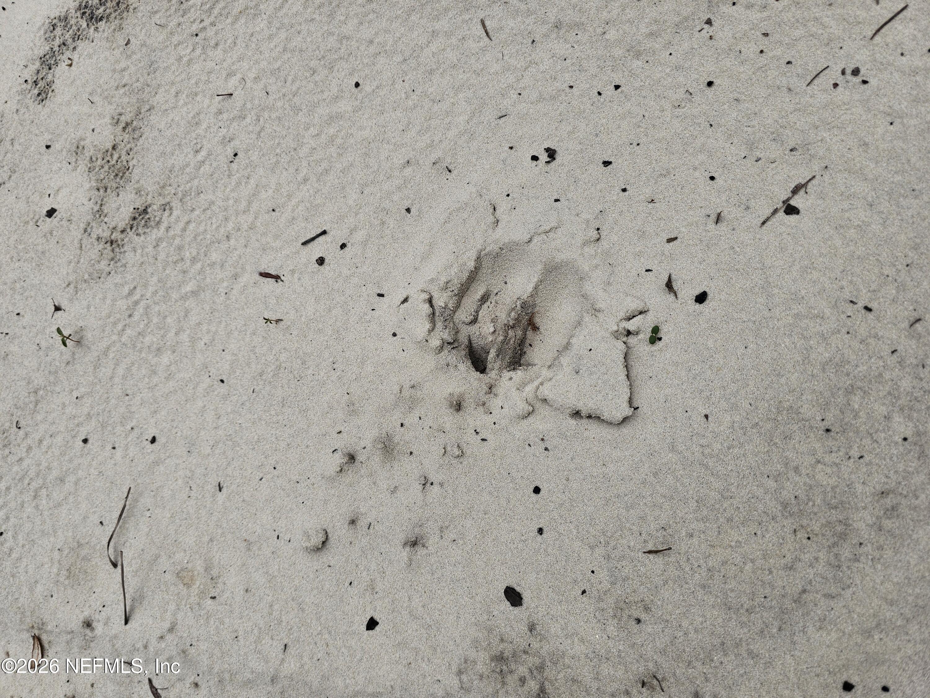 248 SADDLEBACK Trail