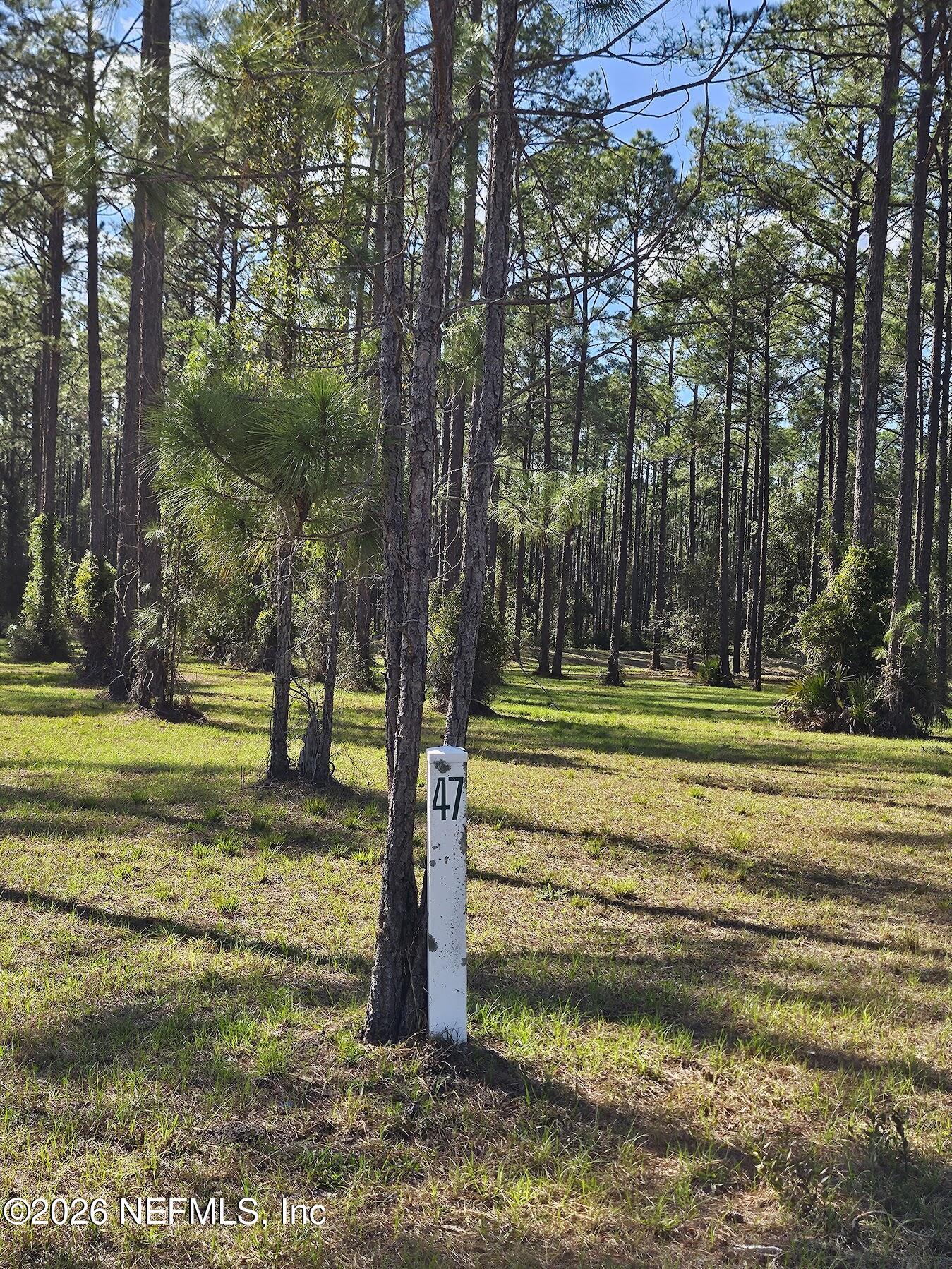 10149 KINGS CROSSING Drive