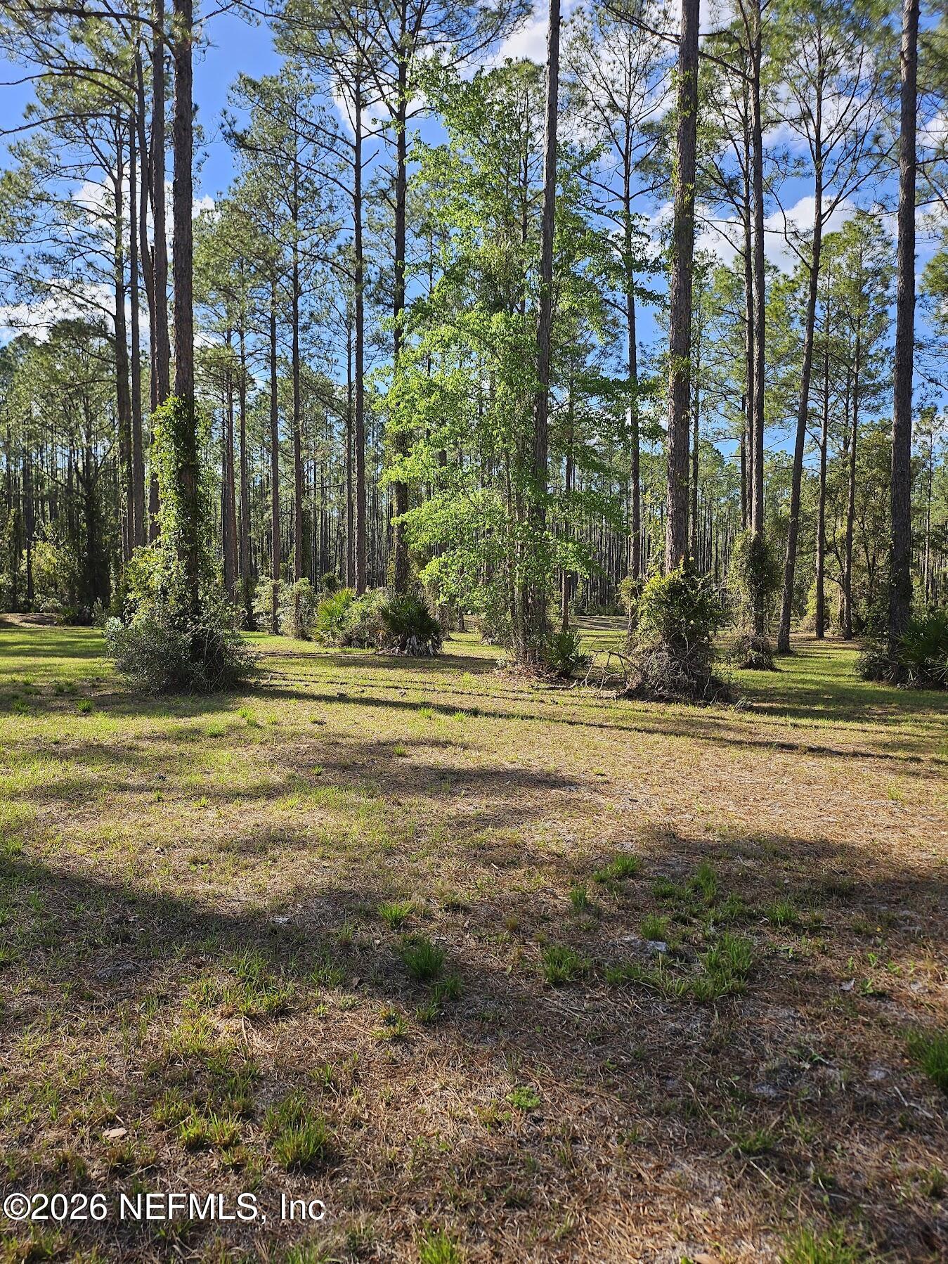 10149 KINGS CROSSING Drive