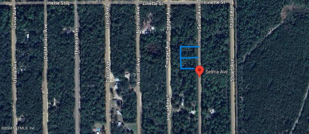 Palatka, FL home for sale located at Selma Avenue, Palatka, FL 32148
