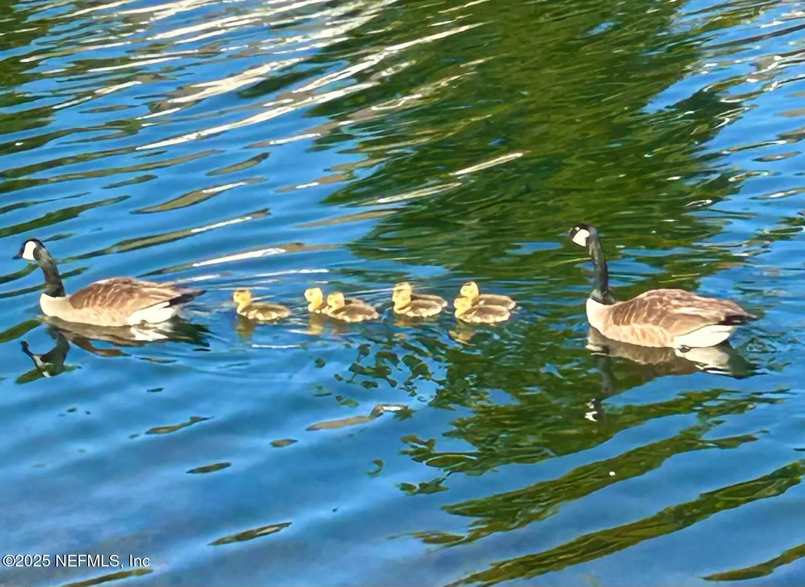 Jacksonville, Florida 32222, United States, 3 Bedrooms Bedrooms, ,3 BathroomsBathrooms,Residential,Active,80020