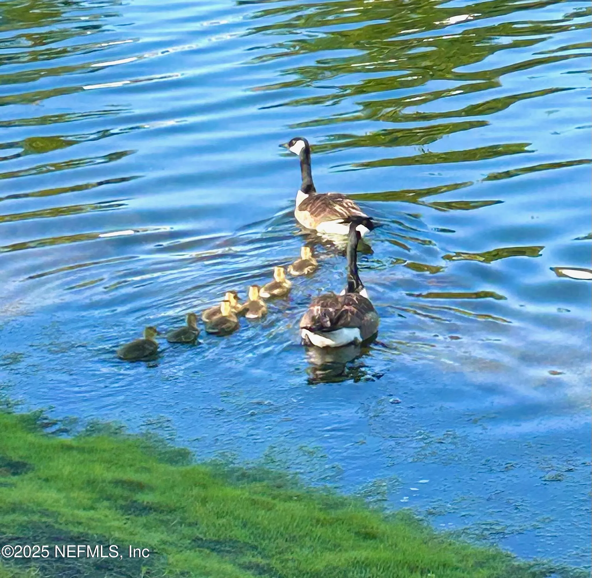 Jacksonville, Florida 32222, United States, 3 Bedrooms Bedrooms, ,3 BathroomsBathrooms,Residential,Active,80020