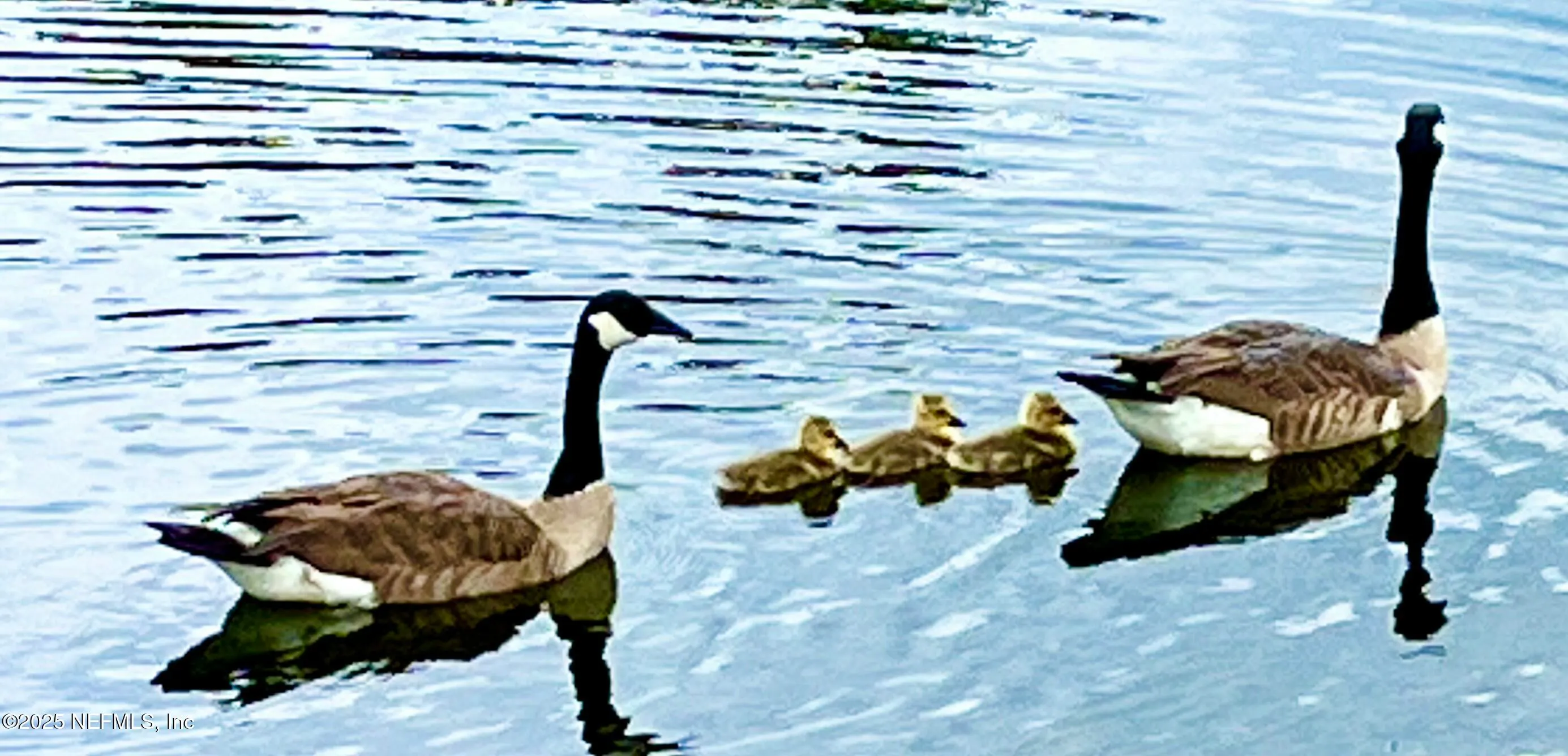 Jacksonville, Florida 32222, United States, 3 Bedrooms Bedrooms, ,3 BathroomsBathrooms,Residential,Active,80020