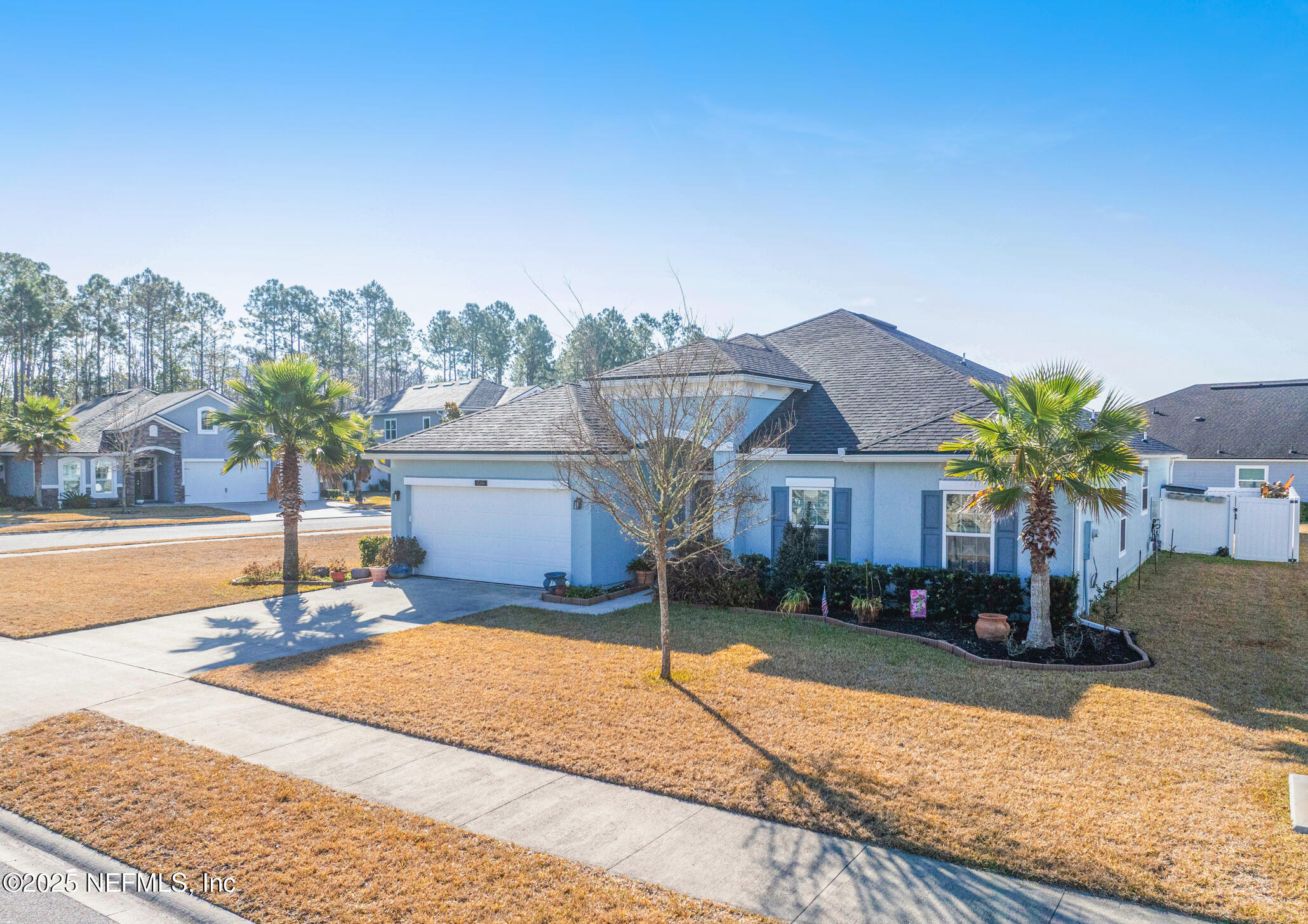 85464 AMARYLLIS Court
